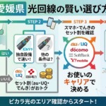 愛媛県の光回線はエリア・セット割・設備で条件比較する